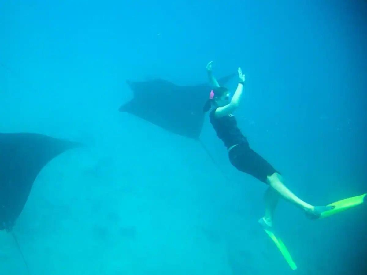 White Sandy Beach-Best Manta Snorkeling Tethi Exteriér fotografie